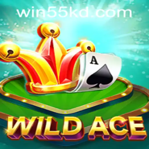 Exploring WildAce: The Thrilling New Adventure